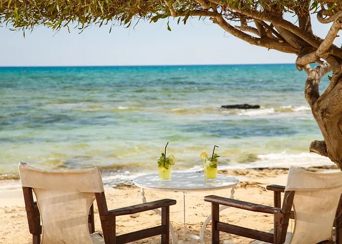 Daire Sanders Elgio *